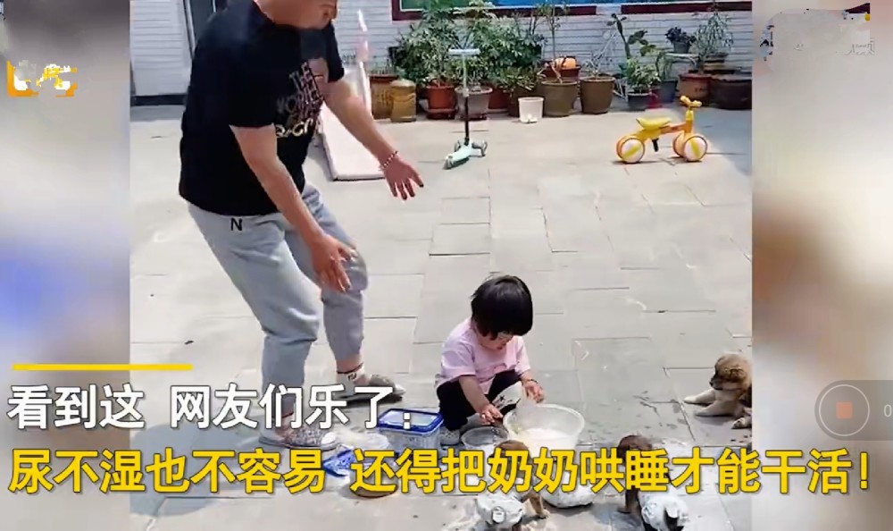 孩子拿走奶粉喂小奶狗,还给狗穿尿不湿,奶奶沙发上睡大觉全然不知!