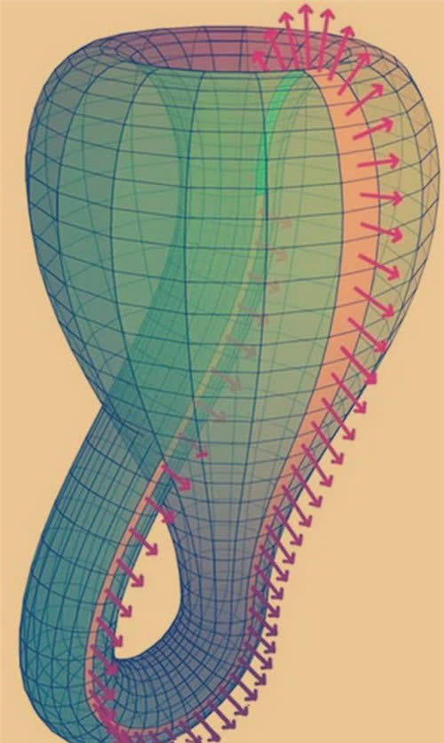 三维空间造不出克莱因瓶为何已经有人买到了瓶子还装满了
