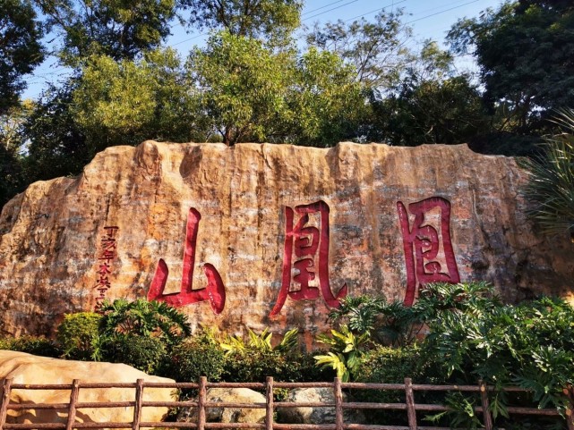 位于深圳宝安区福永的凤凰山森林公园,来深圳十多年,我还是三年前才有