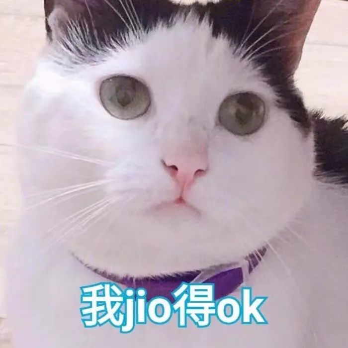 表情包Ⅰ可爱猫咪第四弹