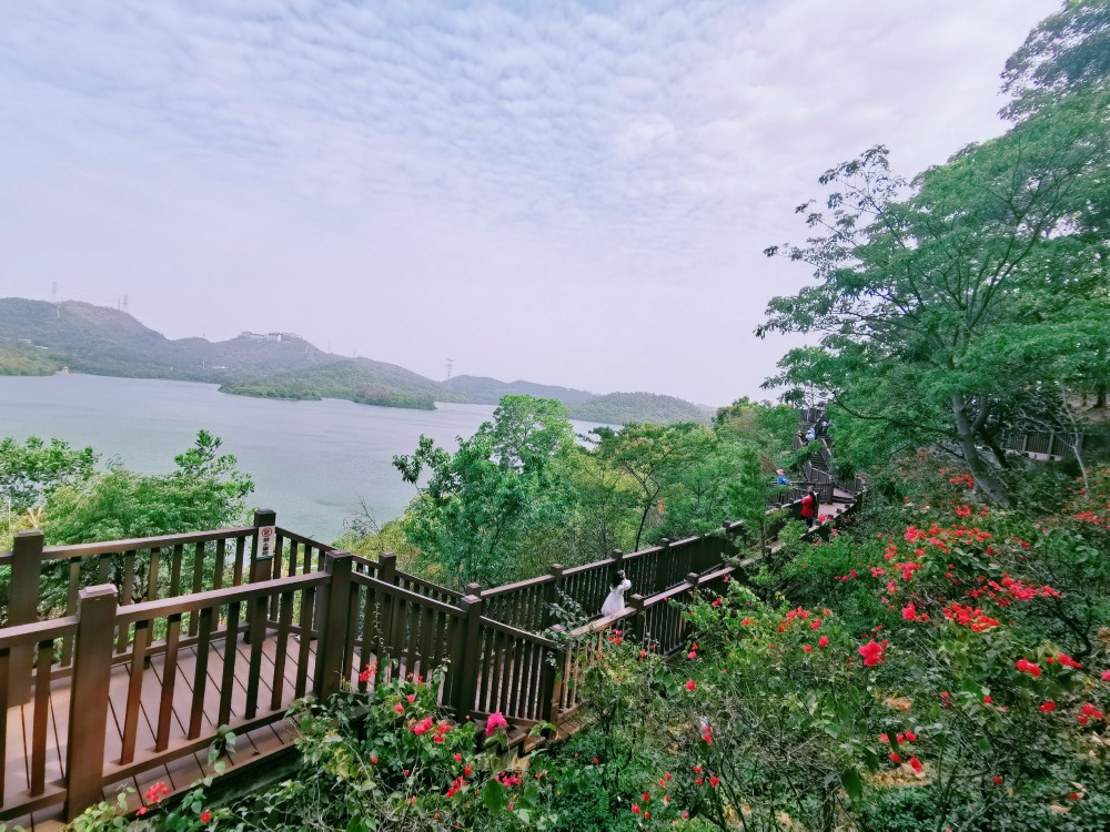 走深圳最美绿道,看深圳水库风光,感受徒步和爬山的乐趣