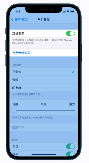 iphone进阶小技巧教你调整音频和视觉设置