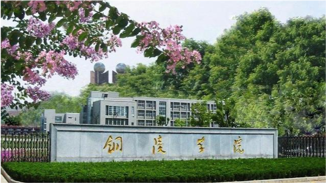 铜陵学院