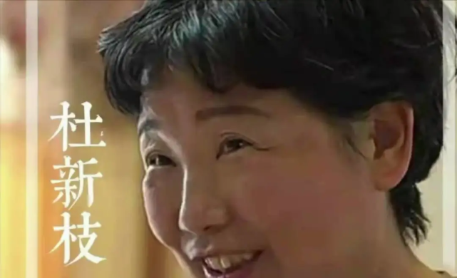 【错换人生28年】许敏诉九江房产案,现阶段处于什么