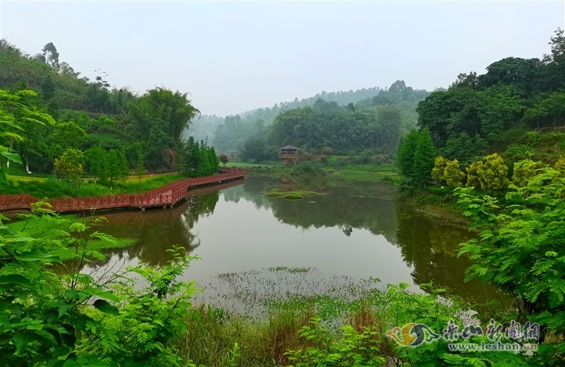 芦山湿地公园