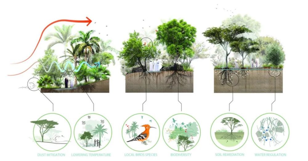 生物多样性活力空间|阿布扎比al fay公园