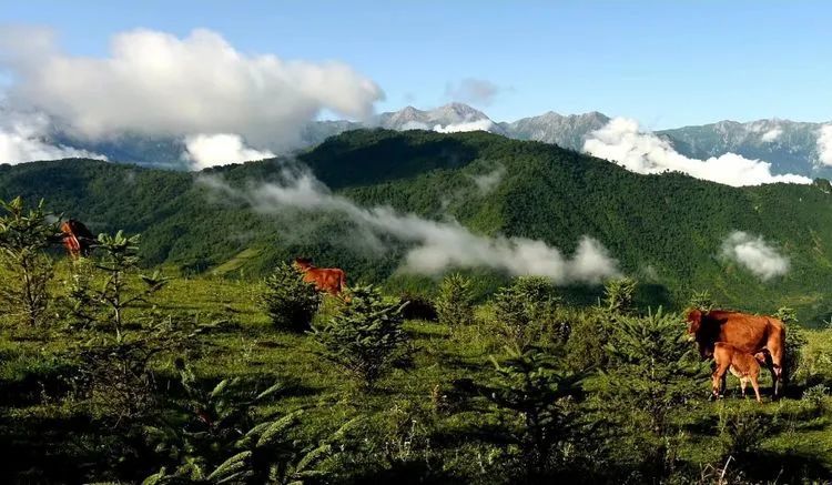 拉尕山:传说是神仙喜欢的地方