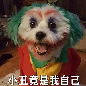 表情包【格局小了】