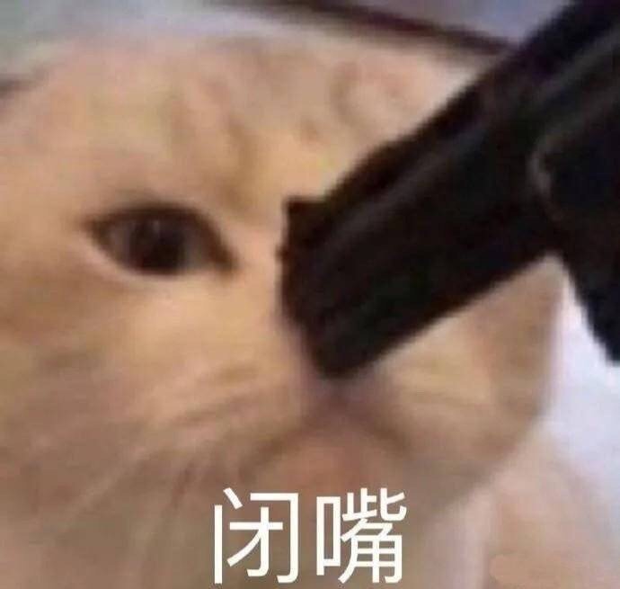 表情包【格局小了】