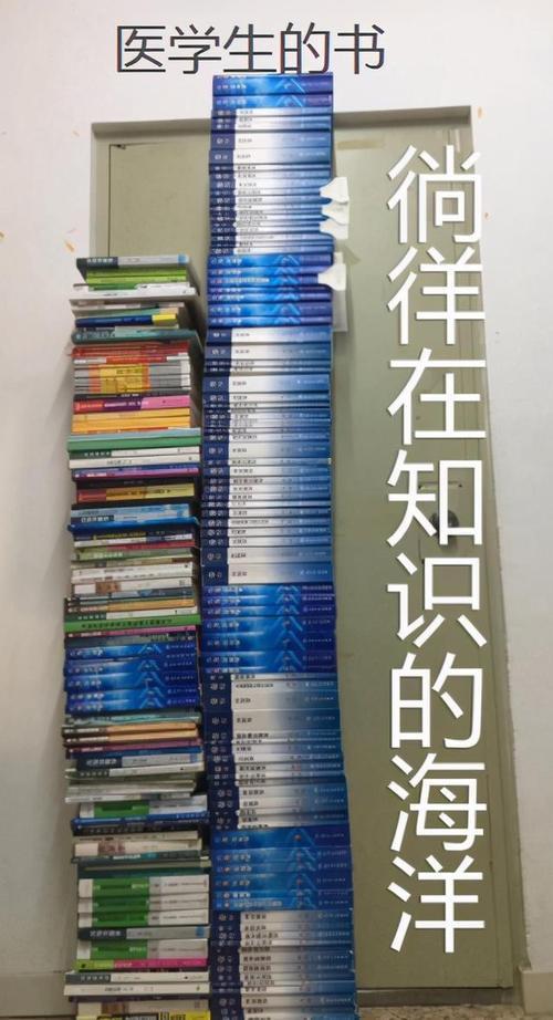 也不是没有娱乐的时间,每天只会泡在书本里面,他们害怕的只是简简单单