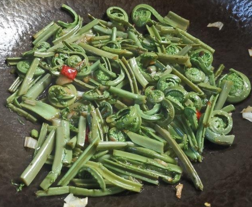 酷似蕨菜吃起来有黄瓜香是地道北方野菜却被称为广东菜