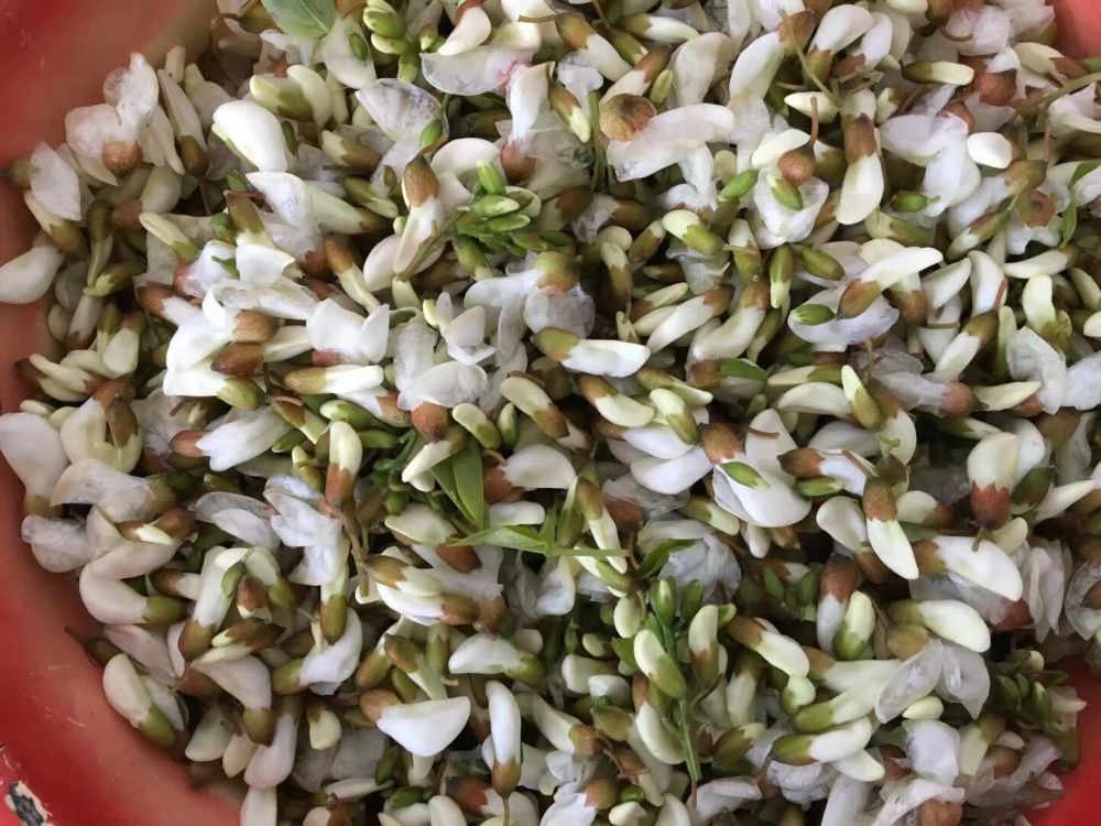 洋槐花的神仙吃法,给肉都不换的那种,来看看吧
