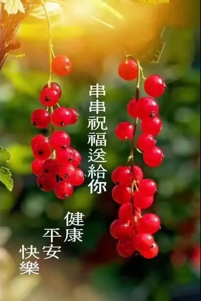 夏天早上好心情祝福语大全最美的早上好祝福语动态表情图片