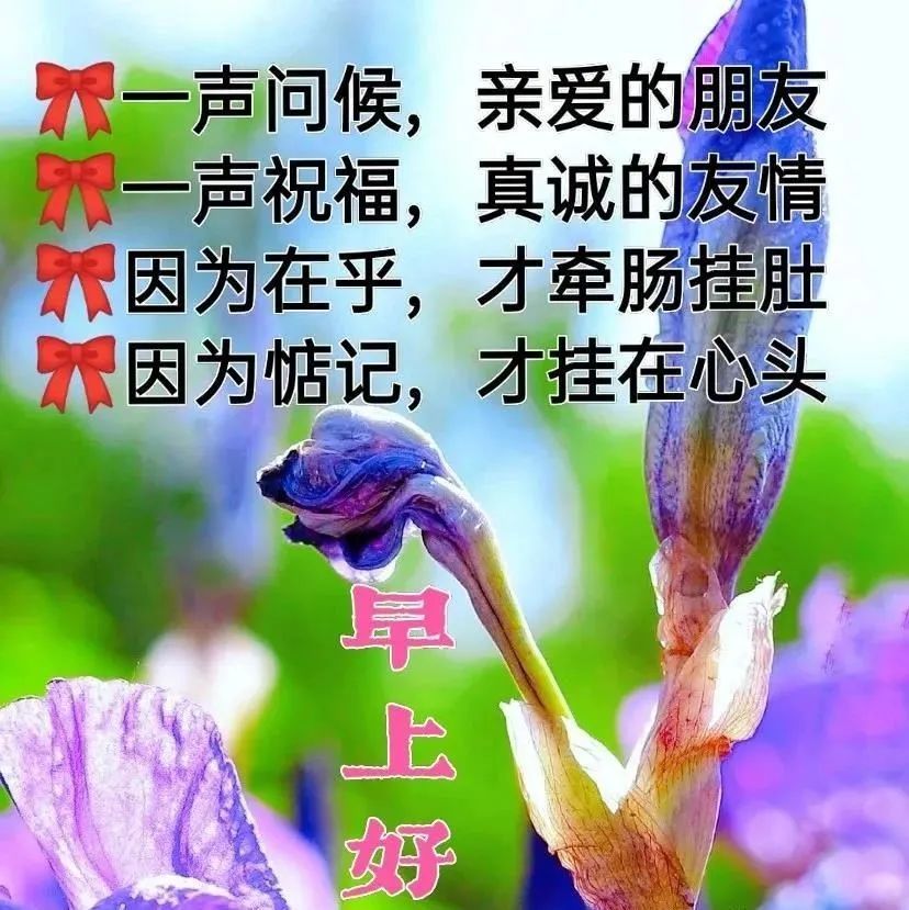 最新版问候大家早上好的漂亮图片,早上好唯美动态表情