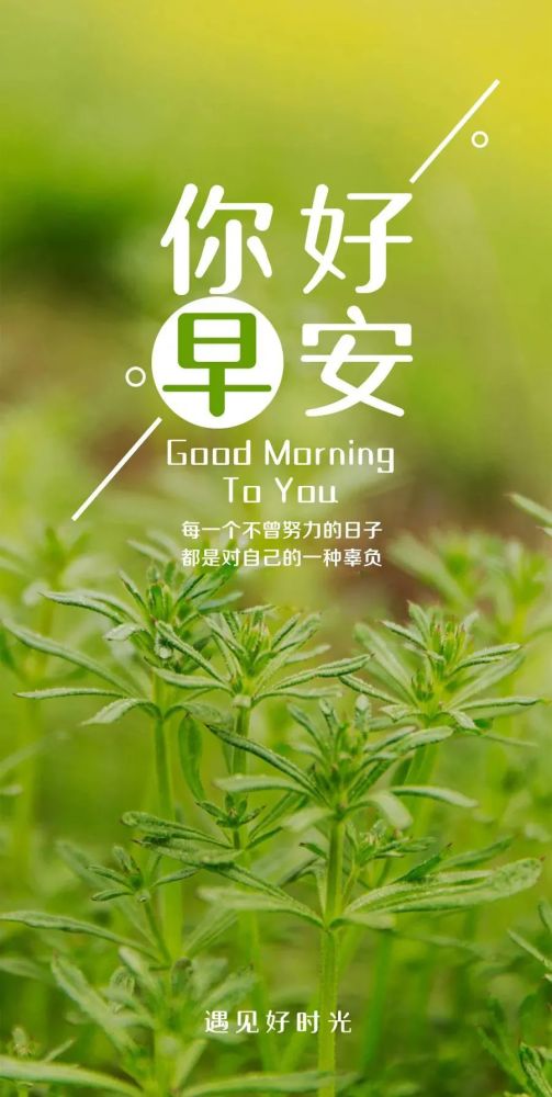 新的一周加油勉励语录配图片,正能量早安问候语,壮志不改