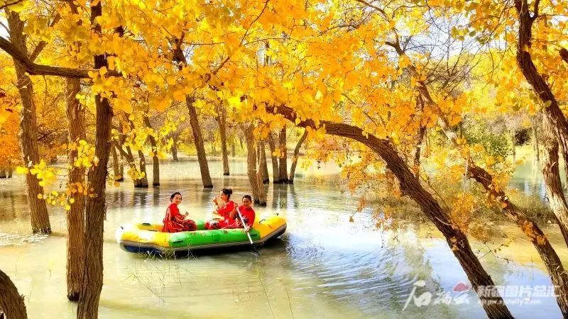 泽普金湖杨景区
