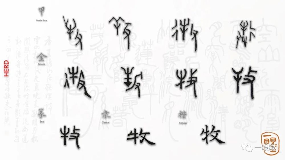 甲骨文的"牧"字有多款不同的写法,第一款字形左边是"牛",右边是手执