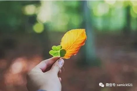 简简单单的快乐.