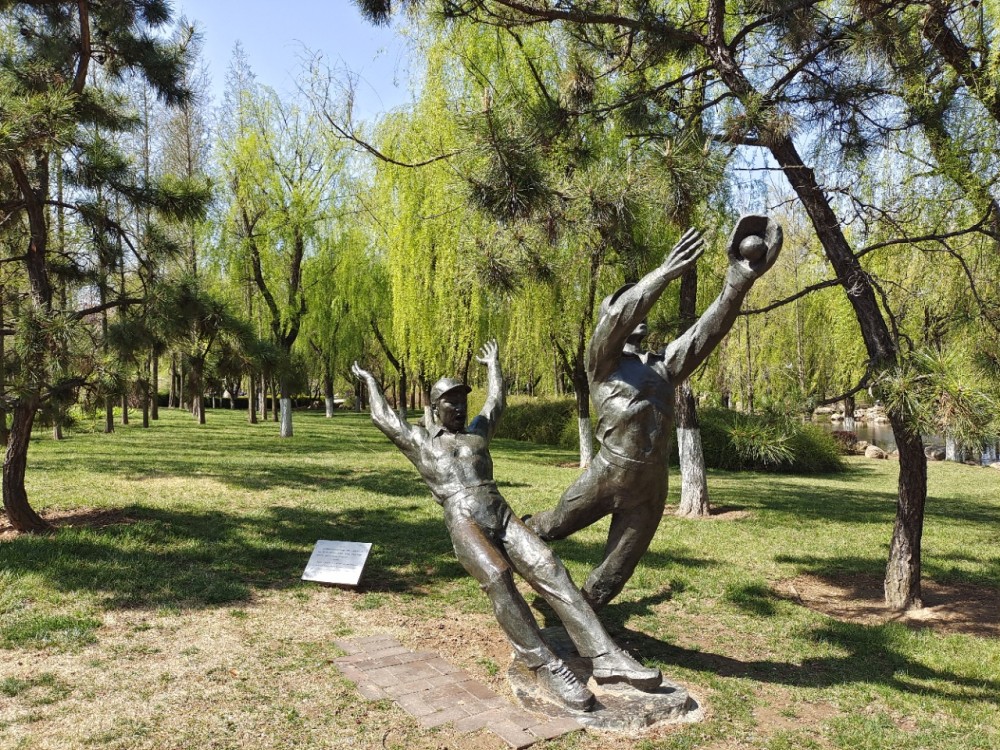 其他信息:青岛世纪公园免门票,以体育运动,休闲旅游,打卡拍照,文化