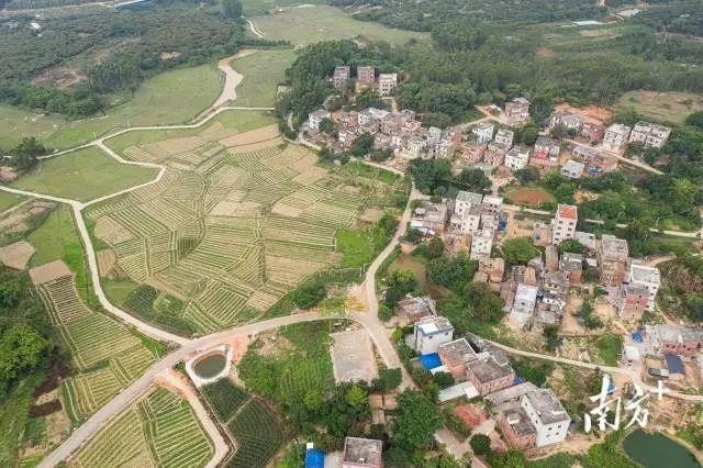 湛江吴川市浅水镇覃村,李秋霞的老家