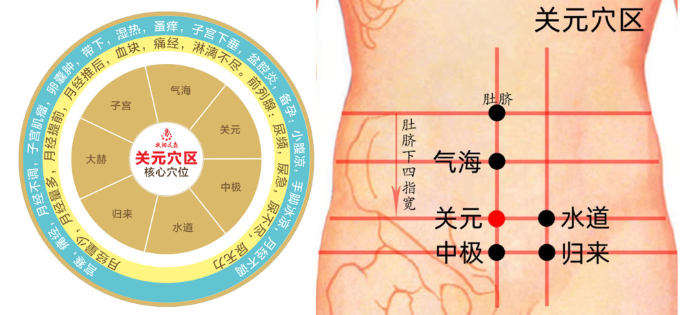 有这样几处调理女性体寒的特效穴:关元,神阙,中脘,太溪,具有温中散寒