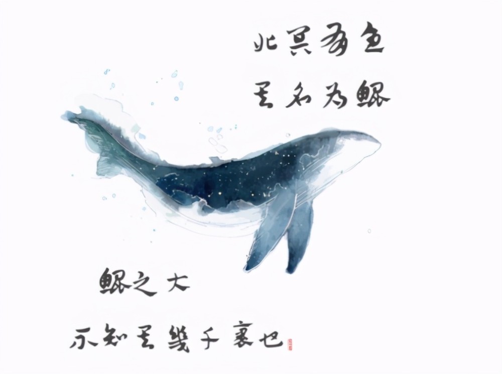 第一篇:《逍遥游》学生党:好像烙在骨子里一样,张口就来 " 北冥有鱼