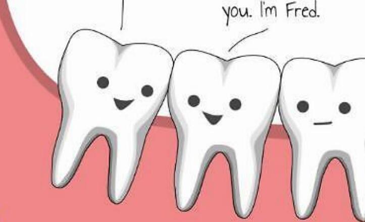 一,智齿形状正常,不是阻生牙
