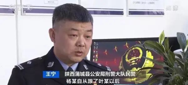 央视报道:蒲城一黑社会团伙被一网打尽!