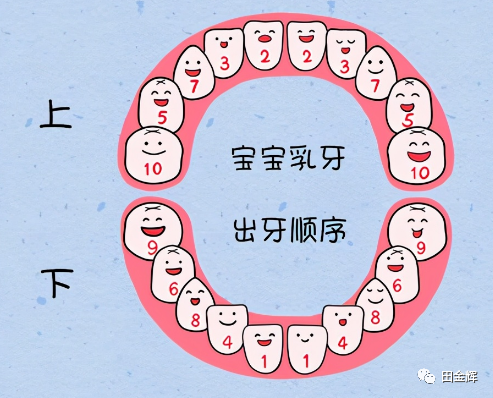 千万别以为乳牙掉了就万事大吉了,如果乳牙出现了龋齿,后续的 恒牙萌