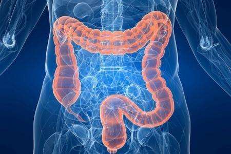 大肠早期病变会有4个症状如果有这三种高危信号最好肠镜检查