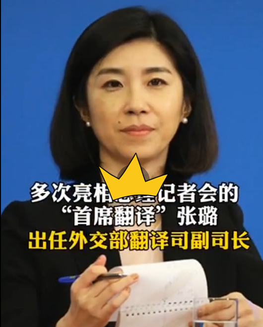 "首席翻译官"张璐升职,不仅被她的冷面震慑,更被专业才华折服_腾讯新