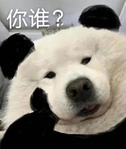 2021.5.17 抖音超火表情包