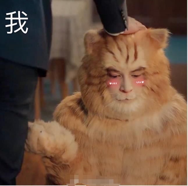 胡歌的橘猫角色