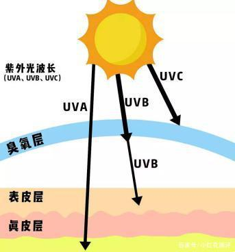 紫外线到底是什么线?