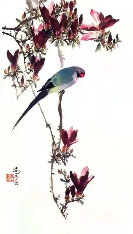国画名家:乔木 花鸟作品选