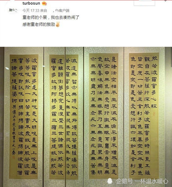 孙俪书法"国宝级大师"展览,工整字迹让网民大喊:娘娘厉害了