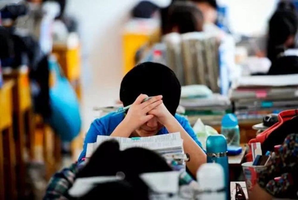 全网艳羡声中,小镇"做题家