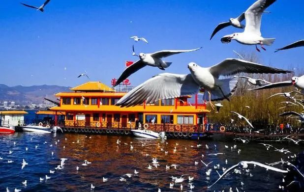 图片