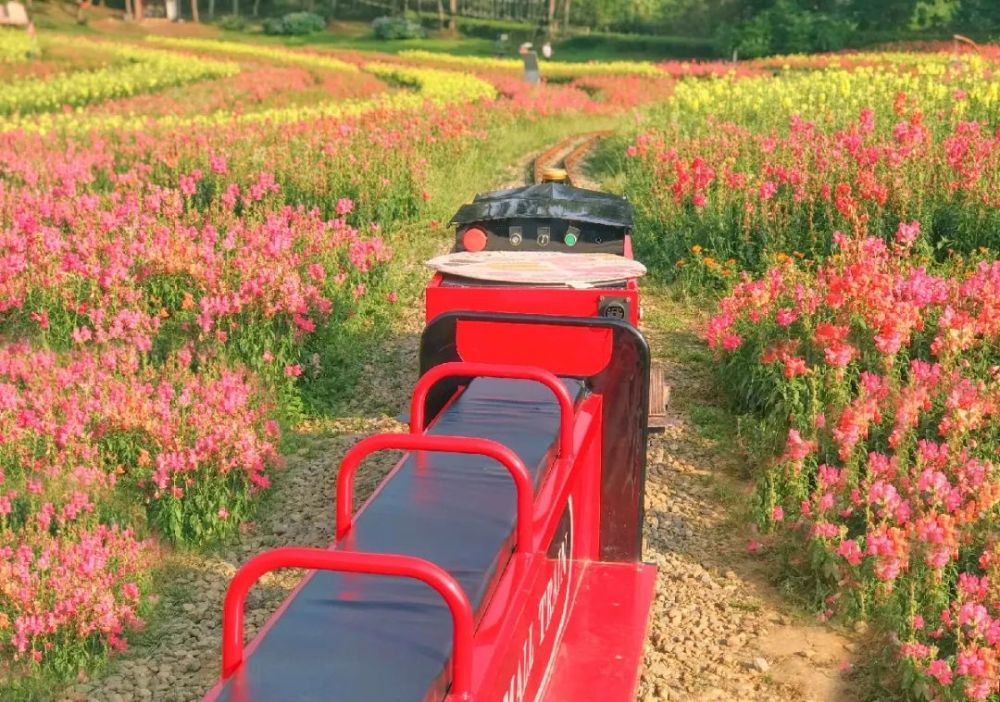 七彩花田 浪漫小火车