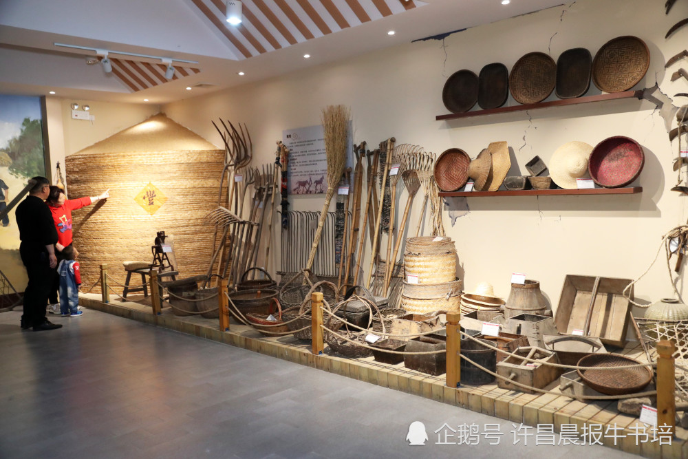 5月17日,家长带领孩子在中原农耕文化博物馆参观.