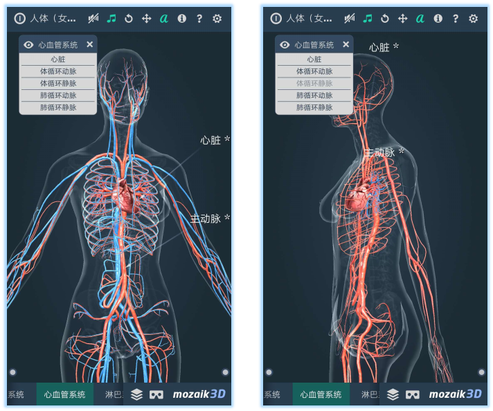 3d人体详解(性):探索身体深处的秘密,未成年勿入!