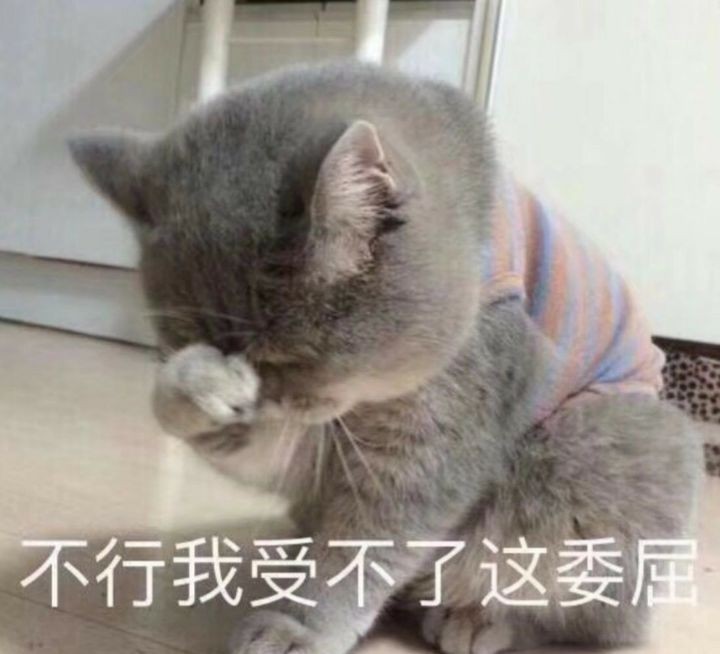 "适合倔强单身人士拒绝狗粮的表情包"
