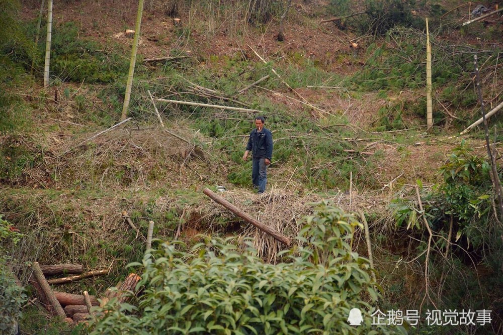 农村大叔闲逛路边捡便宜称比外出打工强