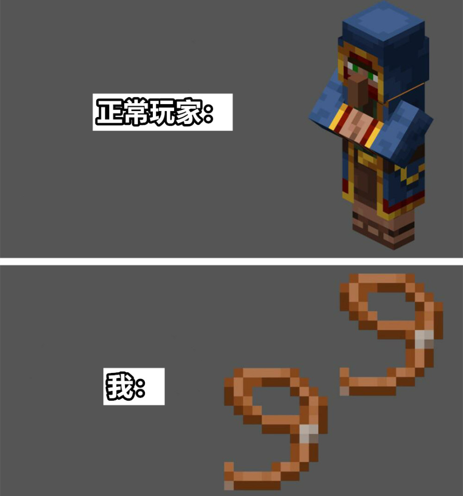 我的世界:不同玩家眼中的流浪商人,区别好大,两根拴绳