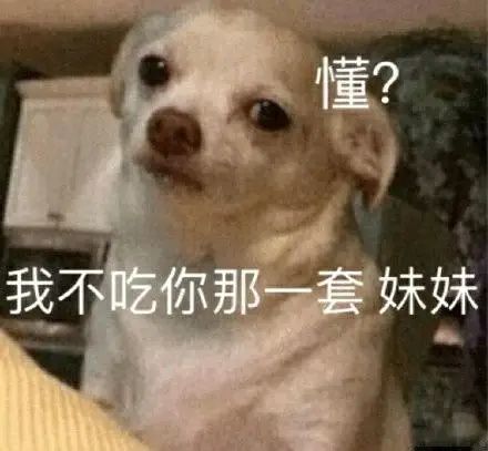 每日欢乐 那些傻不拉几的的表情包