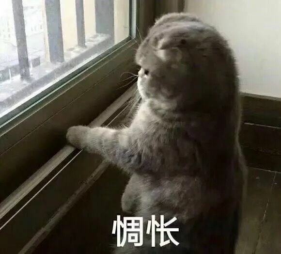每日欢乐 那些傻不拉几的的表情包