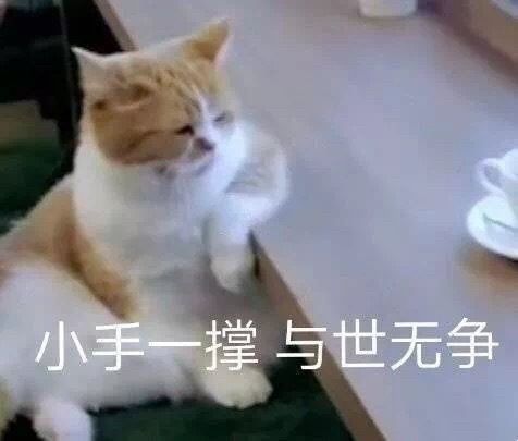 每日欢乐 那些傻不拉几的的表情包