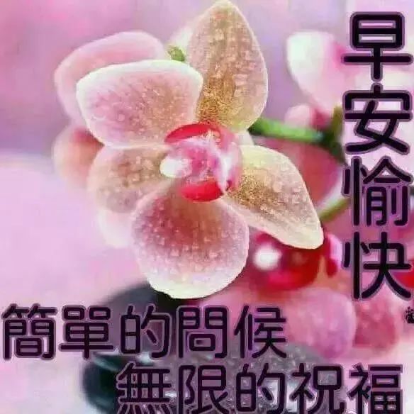 中老年表情包,祝您平安健康,欢欣喜悦!