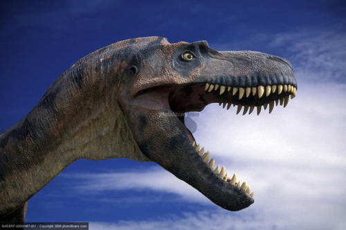 十大最强掠食性恐龙排名|白垩纪|霸王龙|异特龙|恐龙