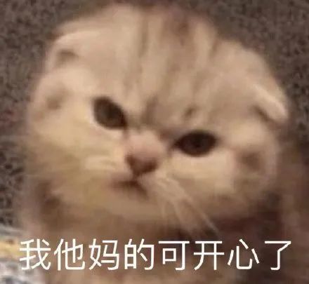 潮图表情包:猫猫阴阳怪气的表情